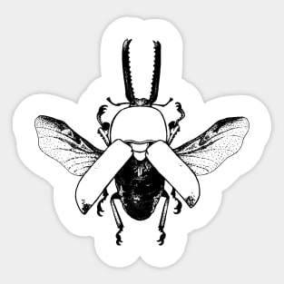 Beetle Sticker